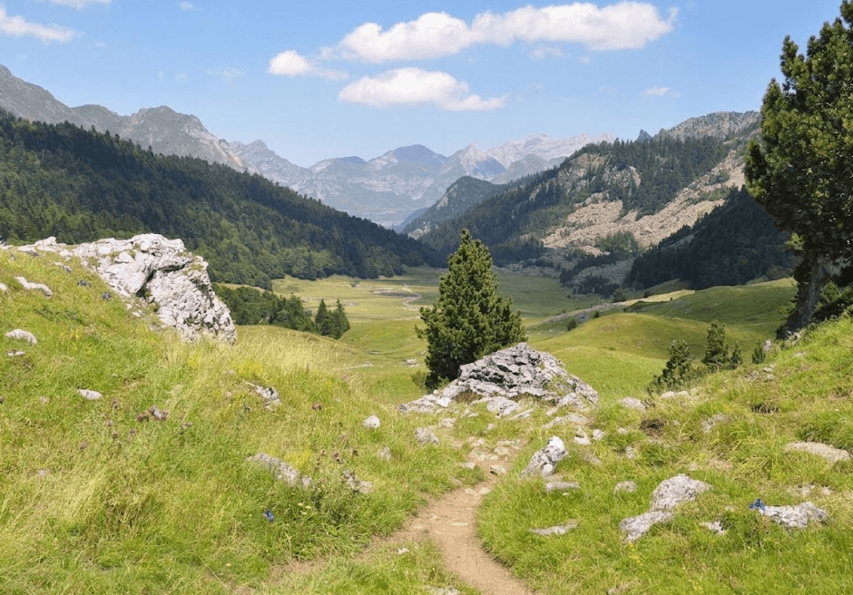 Vue panoramique plateau du Bénou et vallée d'Ossau