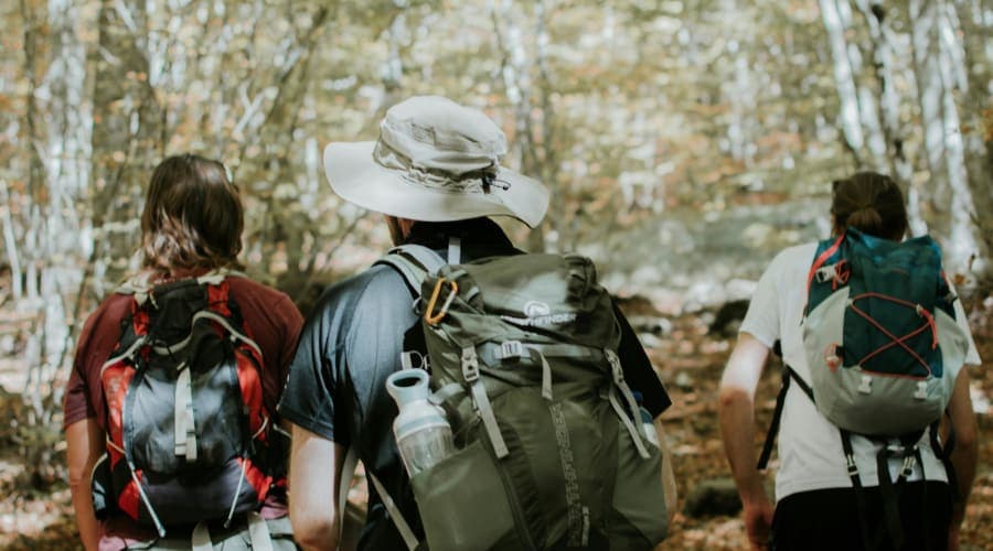 Groupe de randonneurs utilisant leurs smartphones pour partager leur aventure